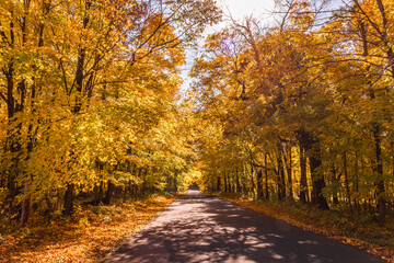 A wide-angle shot of a country road in a maple woods in the autumn with tree branch shadows in the road.