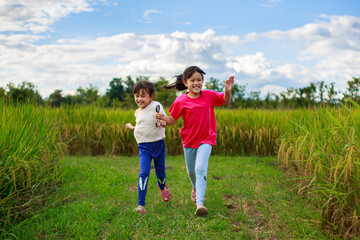 Naklejka na ściany i meble Cheerful little children play and outdoor running in the green rice field under blue sky. Concept for eco friendly in nature and happy childhood of school kids. Happiness and freedom.