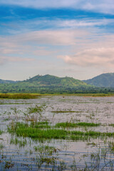 view of Chu Dang Ya volcano mountain and lake near Ngo Son village, Pleiku city, Gia Lai province, Vietnam