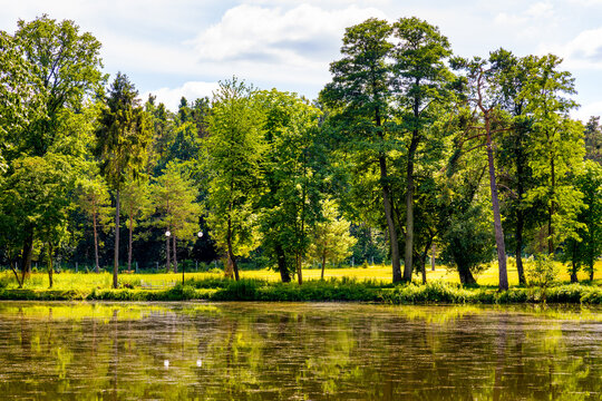 Historic park surrounding XVI century Rozalin Palace with vintage trees and ponds during summer season in Rozalin village in Mazovia region of Poland