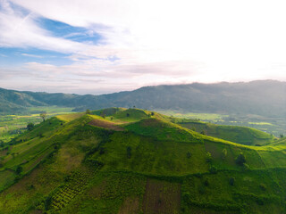 Obraz premium Aerial view of Chu Dang Ya volcano mountain with Da Quy flower or Tithonia diversifolia flower near Pleiku city, Gia Lai province, Vietnam