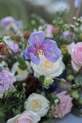 Wedding Decoration White and purple Flower, Fairytales with Nightsky stars outdoors. Elegance and natural grass.