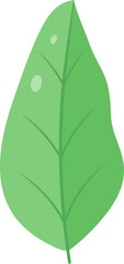 This is a leaf