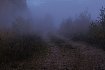 dirt road to the forest in heavy fog in autumn