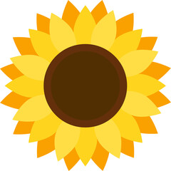 this is a  sunflower