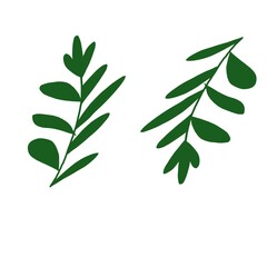 green leaf icon on plain white background