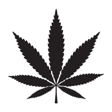 nvis55 NewVectorIllustrationSign nvis - cannabis vector sign . isolated transparent . THC - tetrahydrocannabinol - CBD - cannabidiol - marijuana leaves . black simple icon . AI 10 / EPS 10 . g11538