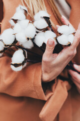 close-up on a bouquet of cotton in female hands