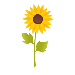 Sunflower Theme Png Format With Transparent Background