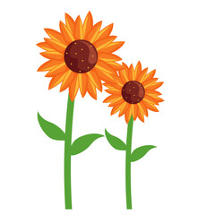 Obraz premium Sunflower Theme Png Format With Transparent Background