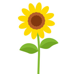Sunflower Theme Png Format With Transparent Background