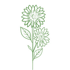 Sunflower Theme Png Format With Transparent Background