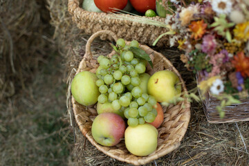 Autumn harvest of fruits and vegetables. Fruits and vegetables in basket. Table details. Healthy food. Natural products.