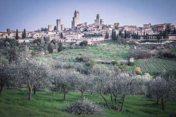 Fototapeta na wymiar Entorno del pueblo de San Gimignano típico de la Toscana Italiana.