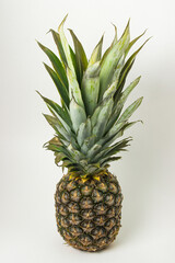 Pineapple on a white background. Tropical Fruit