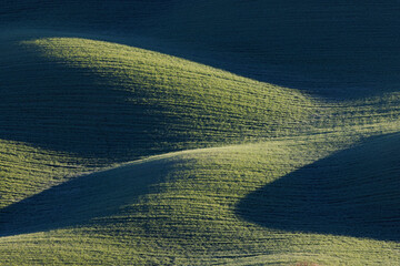 Entornos verces típicos de la toscana, praderas primaverales
