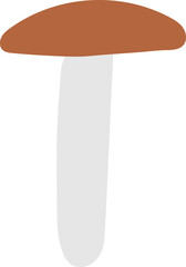 Mushroom with brown cap and grey stipe
