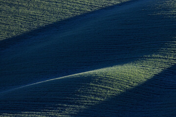 Entornos verces típicos de la toscana, praderas primaverales