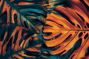 Tropical leaf background, toned color