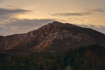 mountain with forest in smooth sunlight