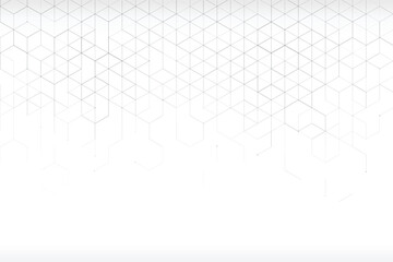 Hexgon Shape Line Background 002