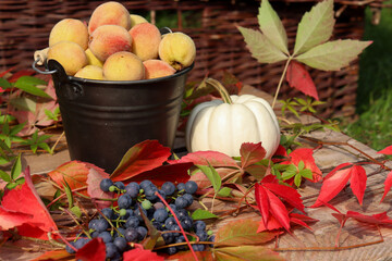 Jesienna dekoracja z dynią, winogronem i brzoskwiniami - obrazy, fototapety, plakaty