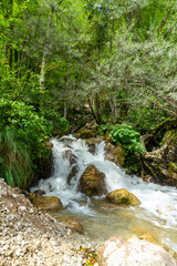 Small waterfall in the forest, Tara river, Montenegro. Vertical image.