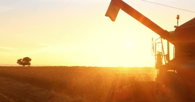 Combine harvester working on soybean field at sunset, beautiful sunny autumn day, slow motion