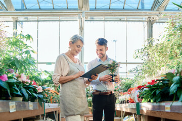 florist and buyer in the sales area of the flower shop.