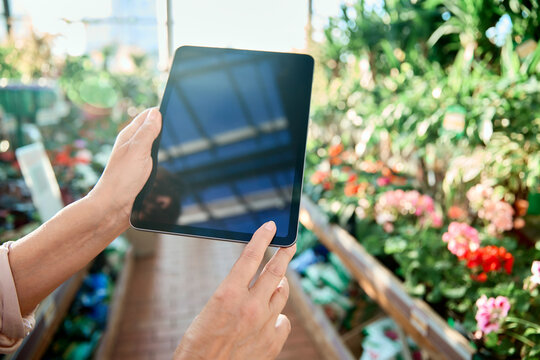 florist using a digital tablet in a flower shop.