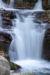 selva de irati en otoño navarra