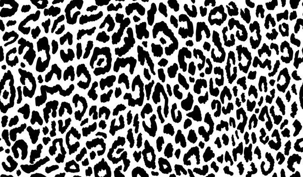 Leopard pattern - Black and white - Seamless background