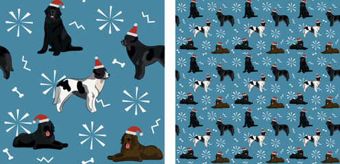 Seamless Newfoundland dog pattern, holiday texture. Square format, t-shirt, poster, packaging, textile, socks, textile, fabric, decoration, wrapping paper. Trendy hand-drawn newfie dog wallpaper.