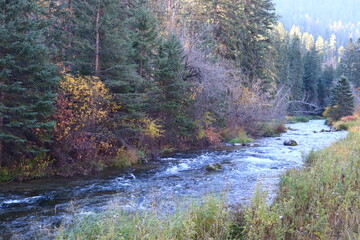 river in autumn