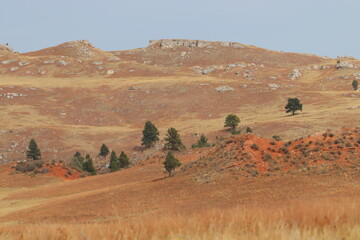 landscape in the desert