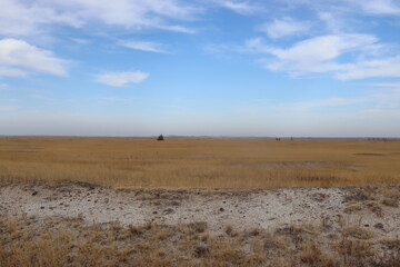 landscape in the desert