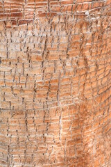 texture