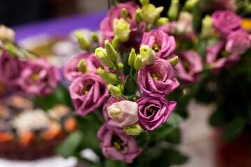 close up of a pink flowers