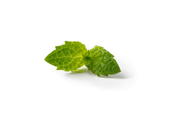 Fototapeta na wymiar Fresh, green mint leaves on a white background. High quality photo.