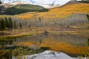Autumn reflections on a mountain pond
