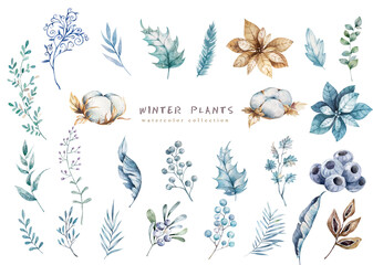 Winter watercolor plants illustration. Blue snow flowers isolated on white background. Merry christmas and new year set