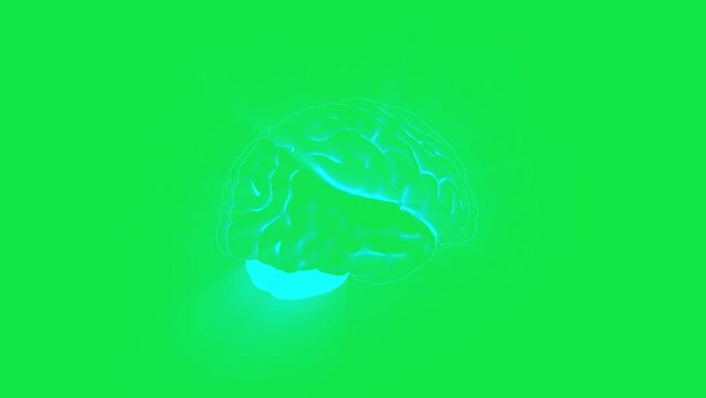 3d Animation of dopamine and serotonin release from the nervous system into the brain causing a chemical reaction. Digital Brain. 3D of thinking process. Brain System. Future technology. 3d render