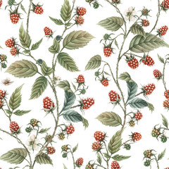 Raspberry seamless pattern. Watercolor red berry background.
