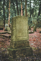 Abandoned overgrown old cemetery in the forest