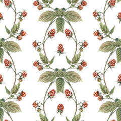 Raspberry seamless pattern. Watercolor red berry background.