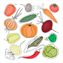 vegetables set isolated on white doodle