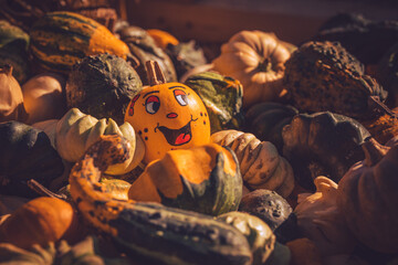 Halloween pumpkin jack o lantern