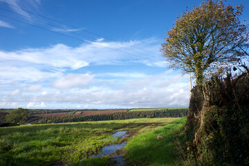 Obraz premium Helland Cornwall UK 10 25 2022 village centre