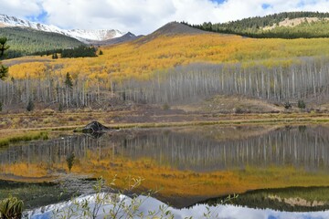 Autumn reflections on a mountain pond