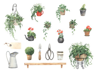 Set of flowers and plants in pots, garden plants, decorative design elements, hand drawn watercolor isolated illustration for your design, interior, text or wallpapers. - 541305672